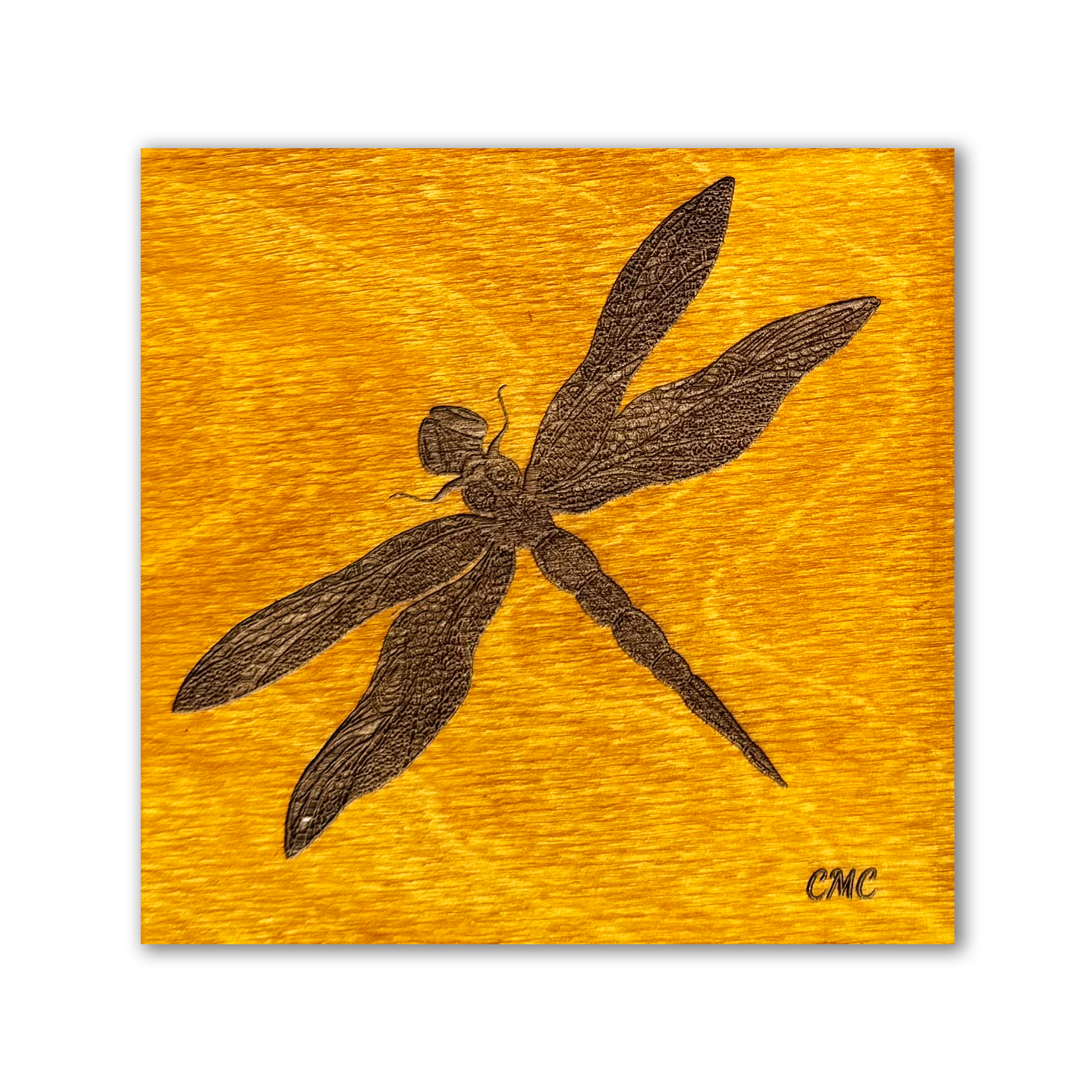 A laser engraved dragonfly on an amber stain baltic birch art tile