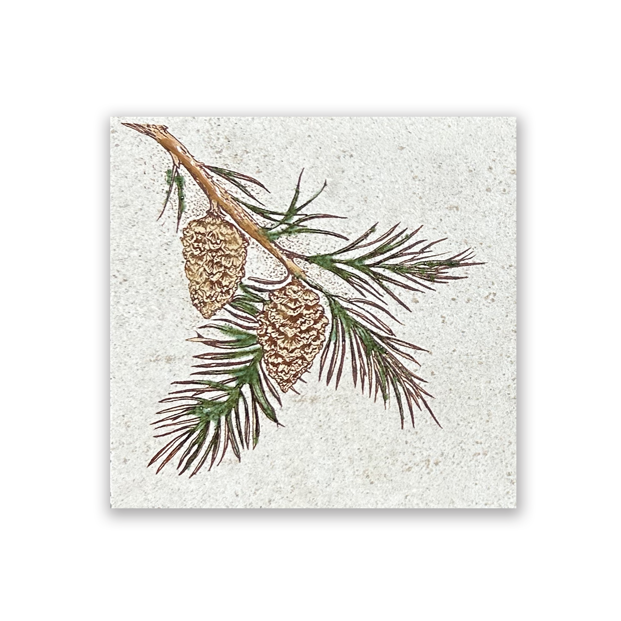 Pine Bough | Art Tile