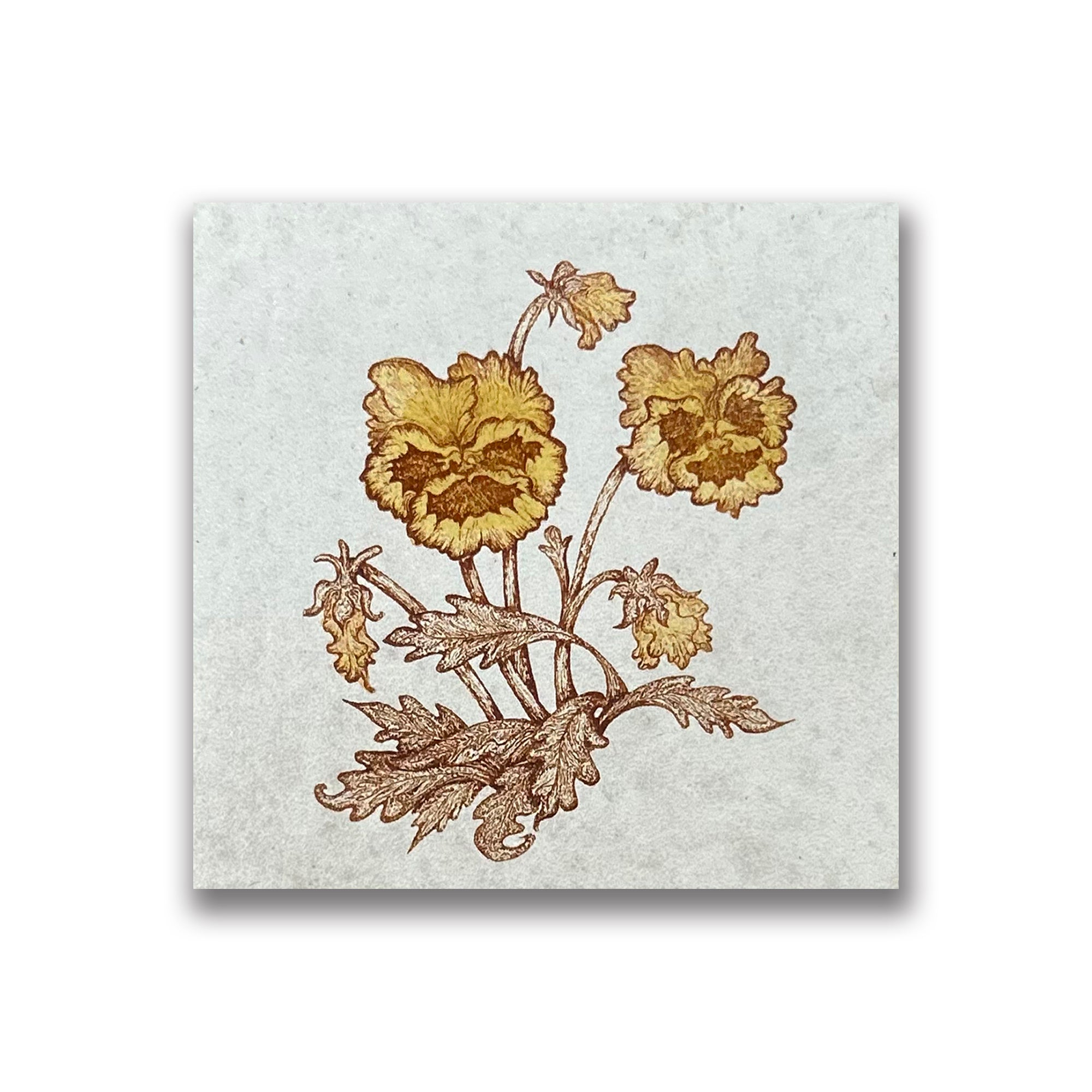 Pansy | Art Tile