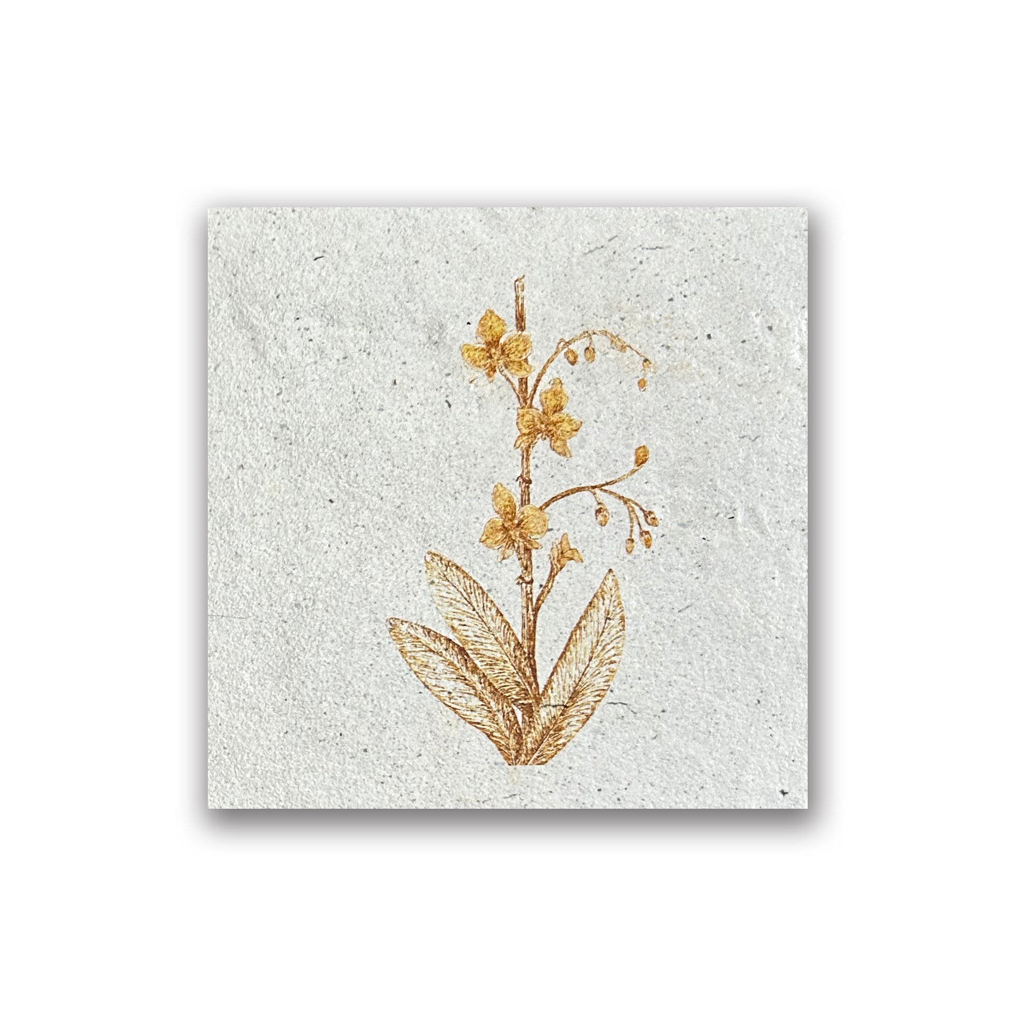 Orchid | Art Tile